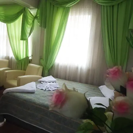 Hotel Vatan Smirne