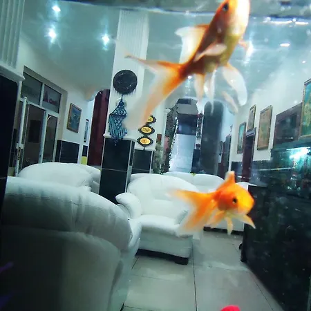 Ξενοδοχείο Vatan 3*