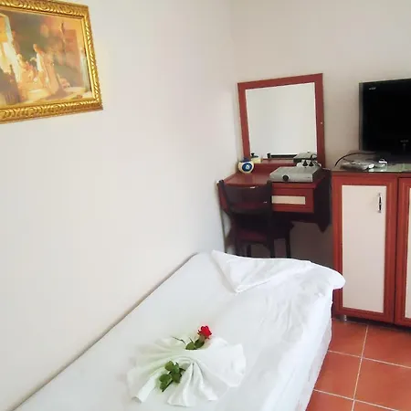 Hotel Vatan 3*